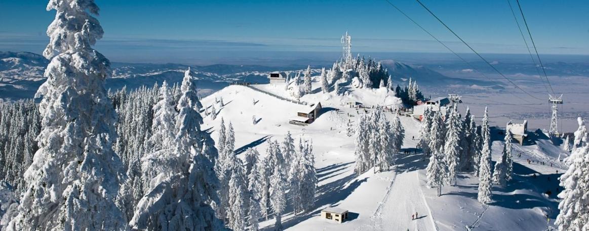 Panoramic Residence Zărneşti Buitenkant foto