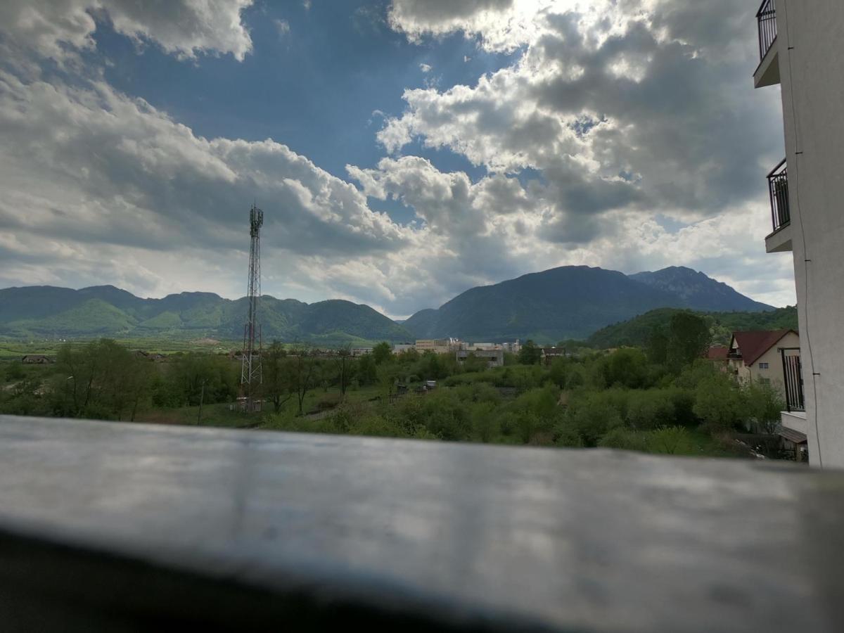 Panoramic Residence Zărneşti Buitenkant foto