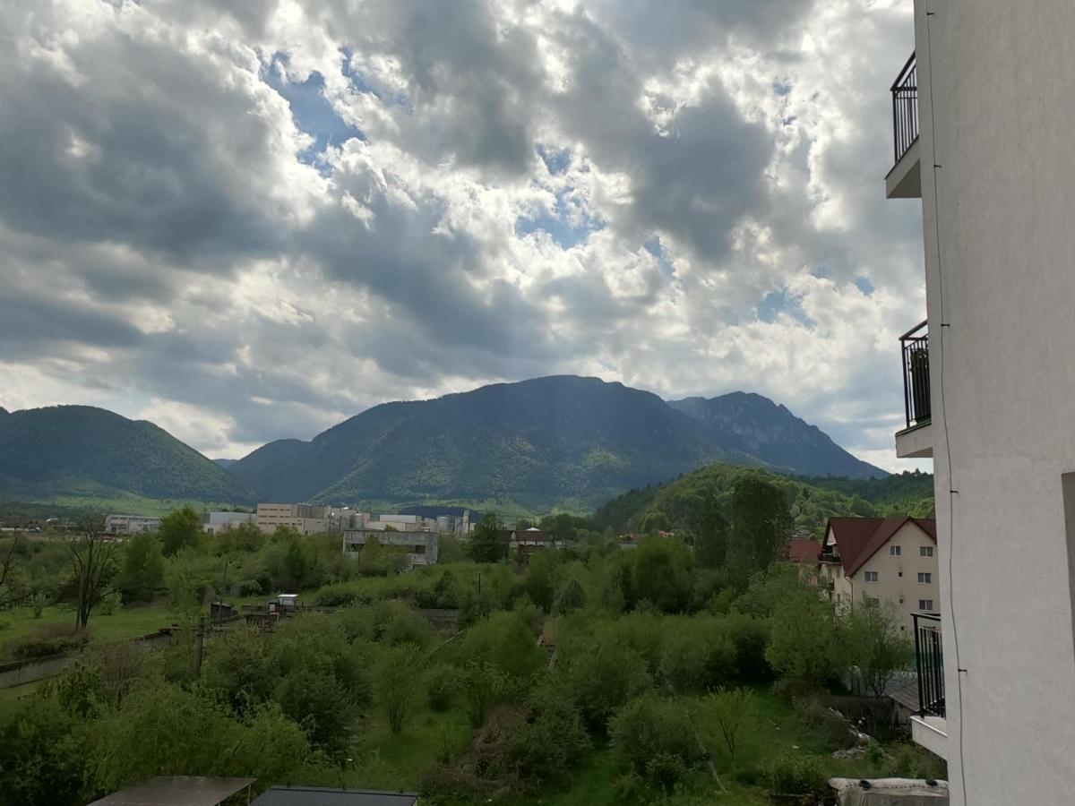 Panoramic Residence Zărneşti Buitenkant foto