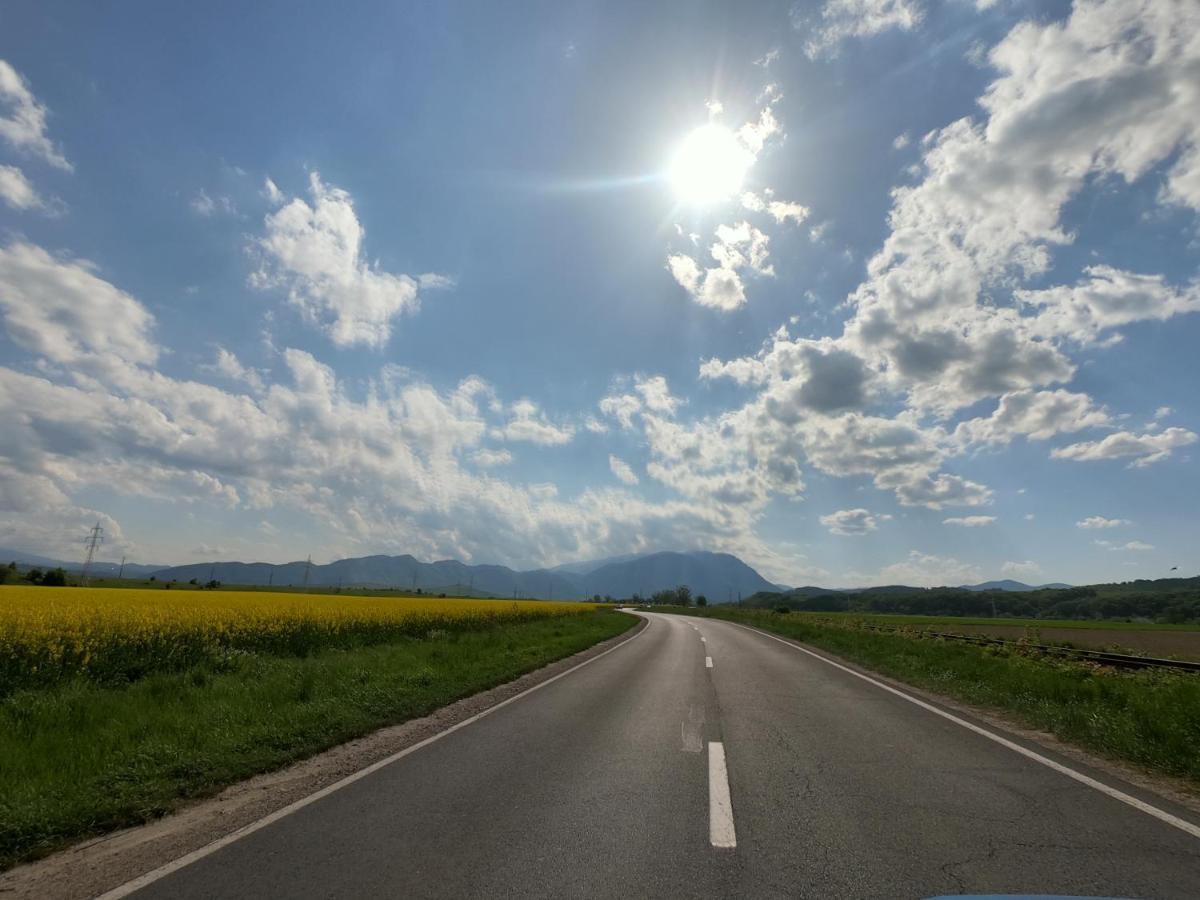 Panoramic Residence Zărneşti Buitenkant foto