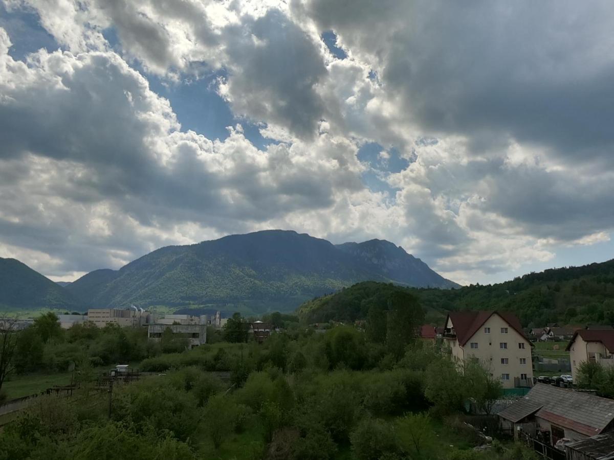 Panoramic Residence Zărneşti Buitenkant foto