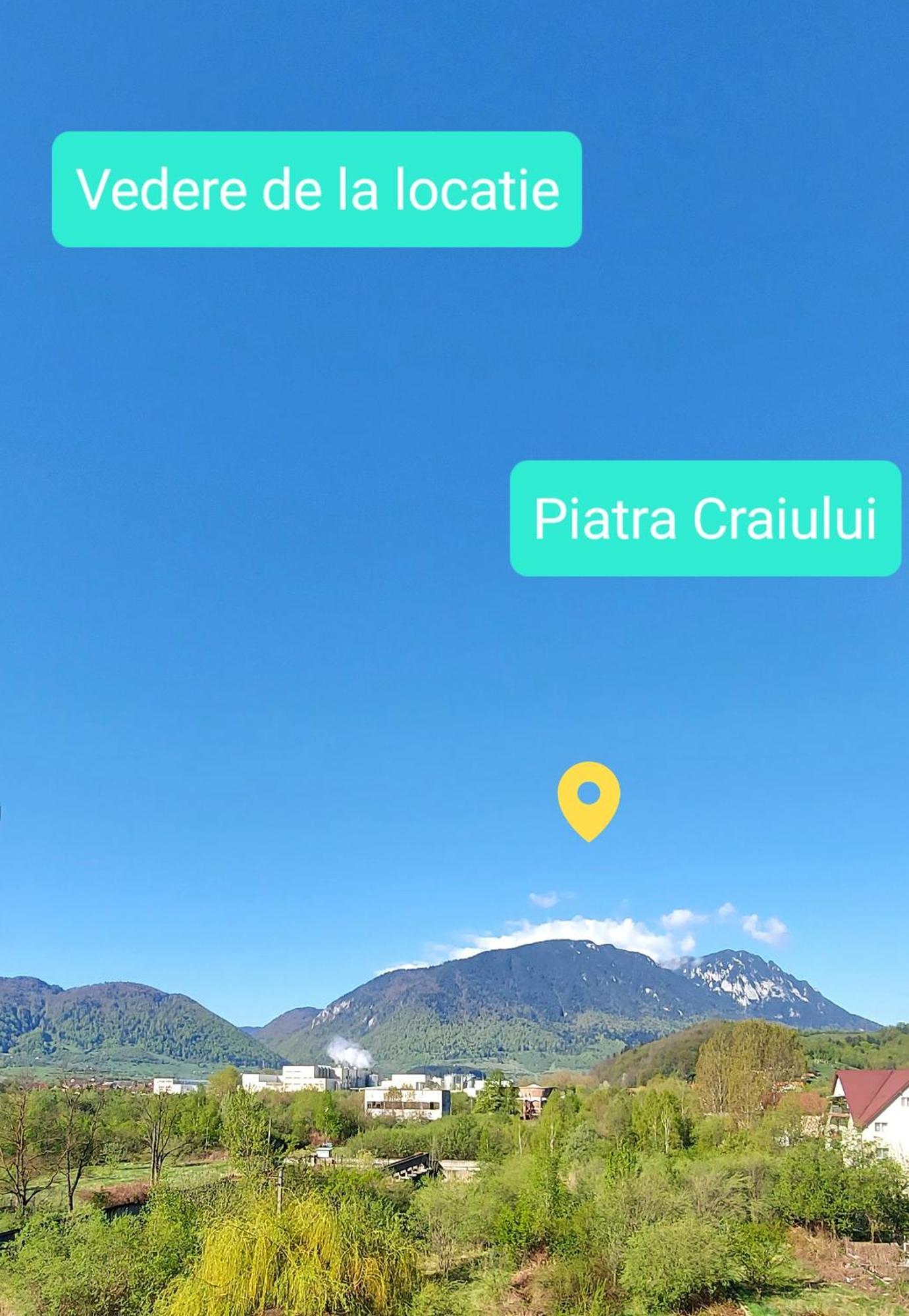 Panoramic Residence Zărneşti Buitenkant foto